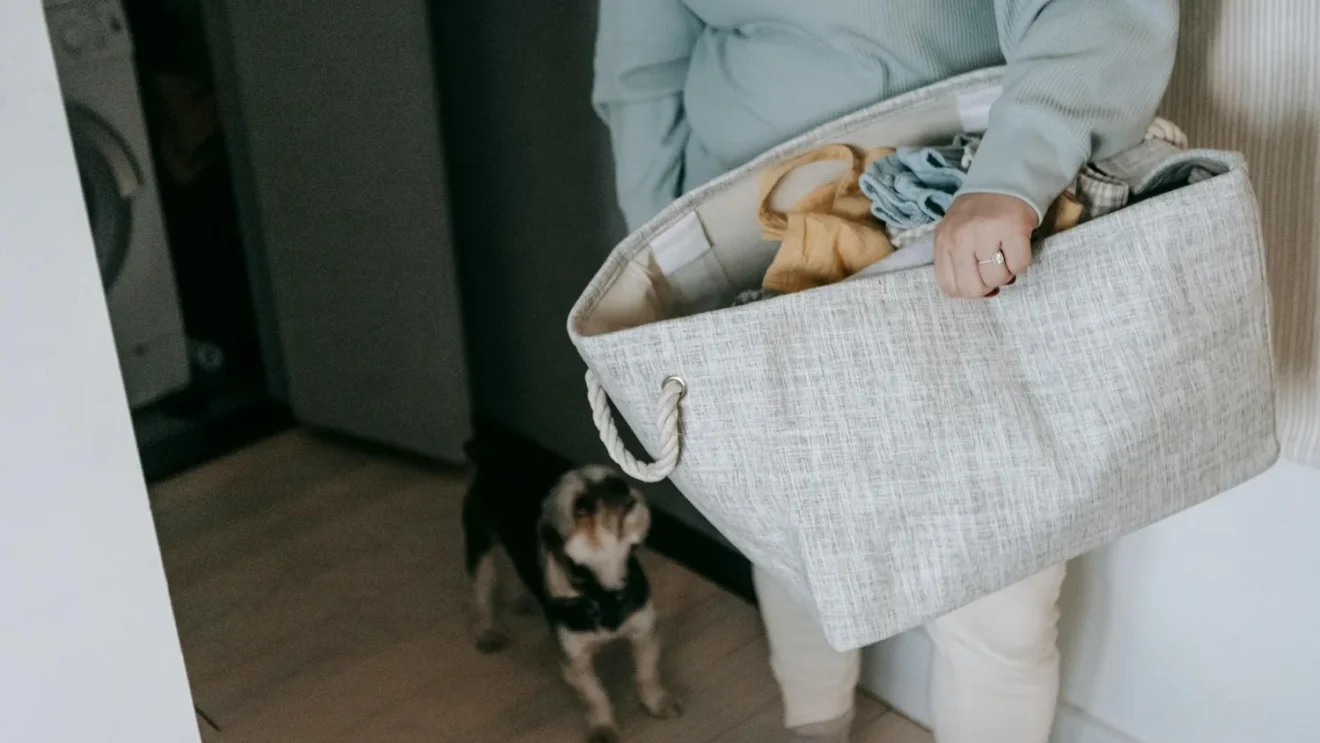 Organisation maison : une méthode simple pour tout ranger