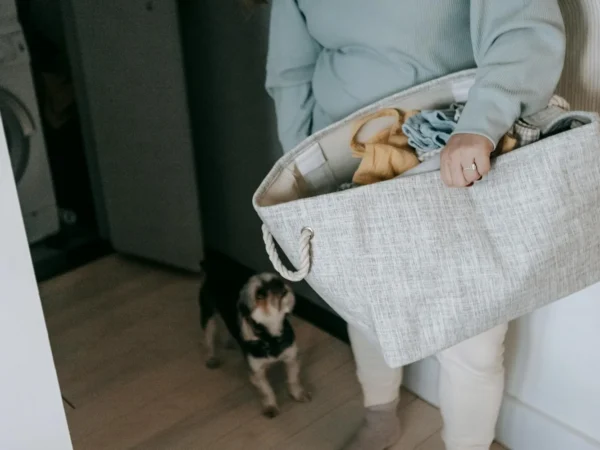 Organisation maison : une méthode simple pour tout ranger
